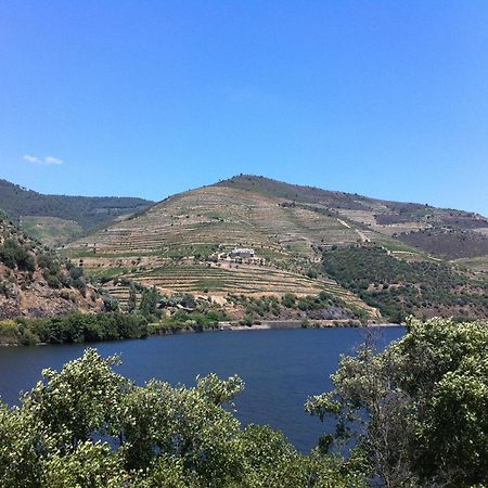 Quinta Da Marka Covas do Douro Buitenkant foto